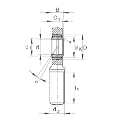 US GAL35-DO-2RS, (j) DIN ISO 12 240-4 ˜ݼySoɂȴܷ